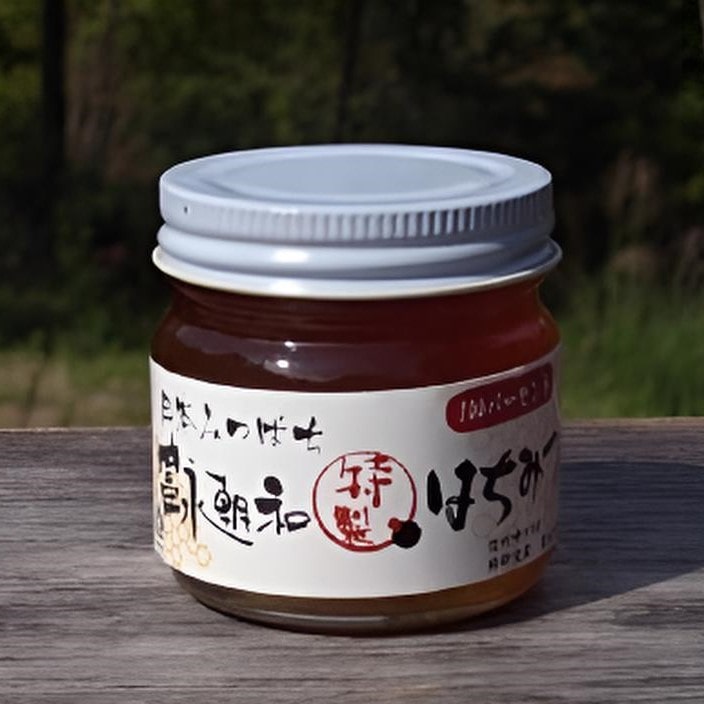 【長野】日本ミツバチのはちみつ 富永朝和 特製はちみつ 100g×2個