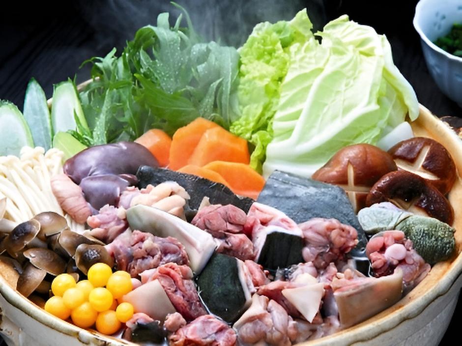 【福岡】九州スッポン 博多すっぽん鍋セット(400g)