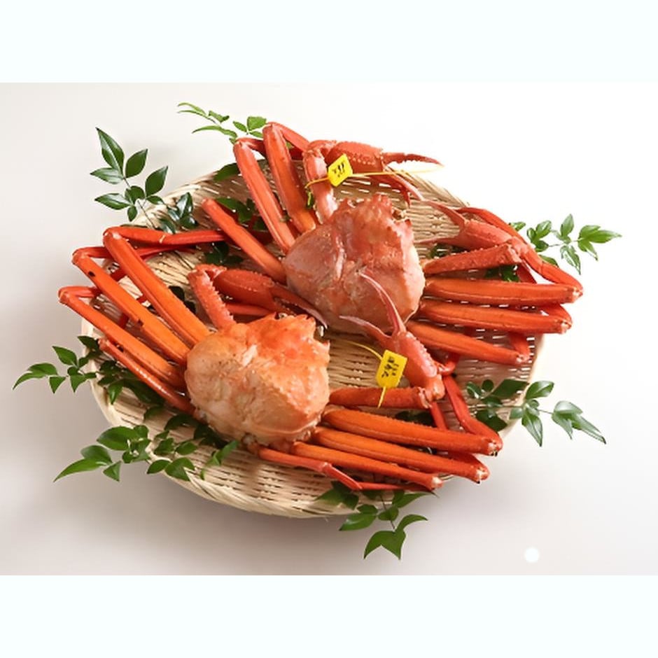 【兵庫】ご贈答向け タグ付香住ガニ 香住漁港水揚げ 茹で丸ガニ 約600g