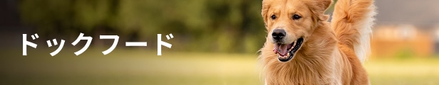 ドッグフード