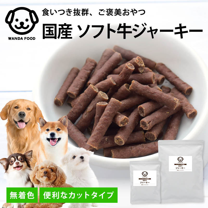 前田家 国産牛ジャーキー カットタイプ 200g 無着色 犬用 犬 ビーフジャーキー 国産牛 ジャーキー 犬用おやつ おやつ ドッグフード 小型犬 シニア 1000円ポッキリ 送料無料 MAEDAYA