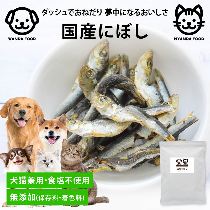 前田家 犬 猫 専用 国産にぼし 食塩不使用 150g 長崎県産 煮干し いぬ ねこ 兼用 にぼし 無着色 猫用 犬用 おやつ 猫用おやつ 犬用おやつ 小型犬 シニア 魚 ペット用 1000円ポッキリ 送料無料