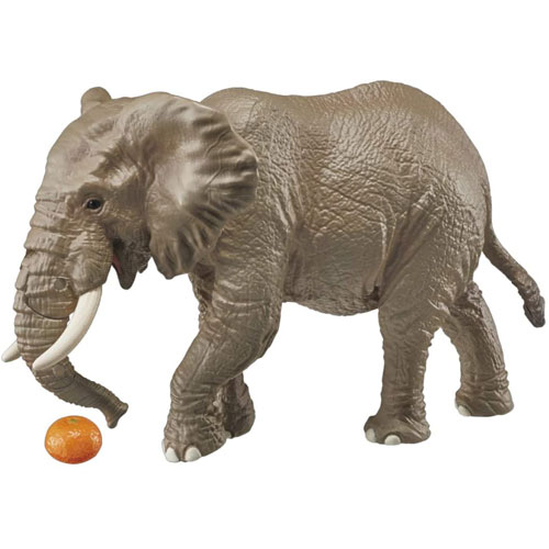 アニア AS-02 アフリカゾウ (オレンジ付き) (2020年発売版)