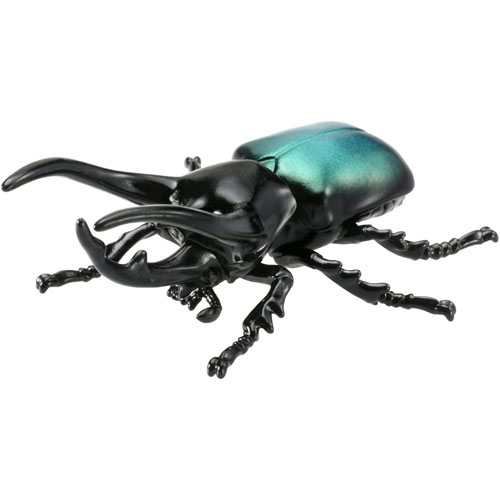 アニア AS-39 コーカサスオオカブト