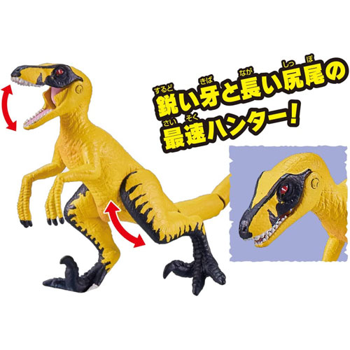 アニア 冒険大陸 アニアキングダム ラプル (ヴェロキラプトル)