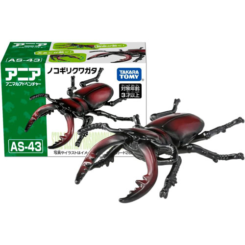 アニア AS-43 ノコギリクワガタ