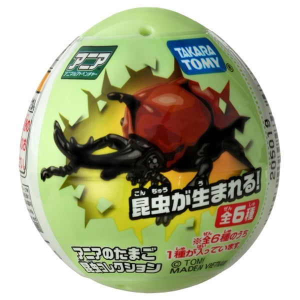 アニアのたまご 昆虫コレクション