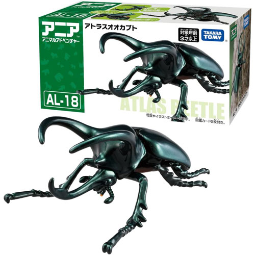 アニア AL-18 アトラスオオカブト