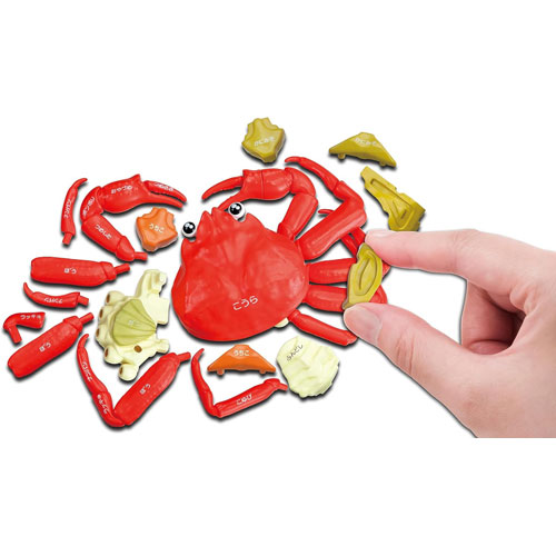 解体パズル 一杯買い!!本ズワイガニ解体パズル-内子付き-