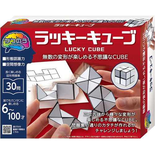 かつのう ラッキーキューブ 活脳パズル