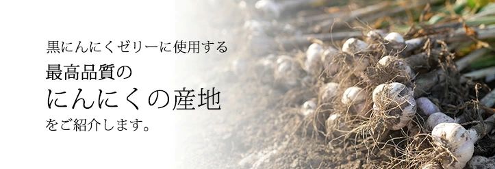 黒にんにく