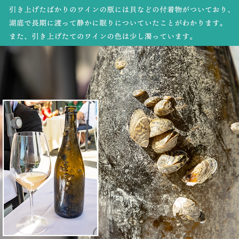 【クール便発送】ワイン 湖底熟成ワイン ノーチラス・クラストリコ 2016 NAUTILUS CRUSTORICO アグリコラ・ヴァルカモニカ AGRICOLA VALLECAMONICA 湖底 水深60メートル お祝い 記念日 誕生日 パーティー プレゼント ギフト お歳暮 御歳暮 クリスマス 60ヵ月熟成 辛口