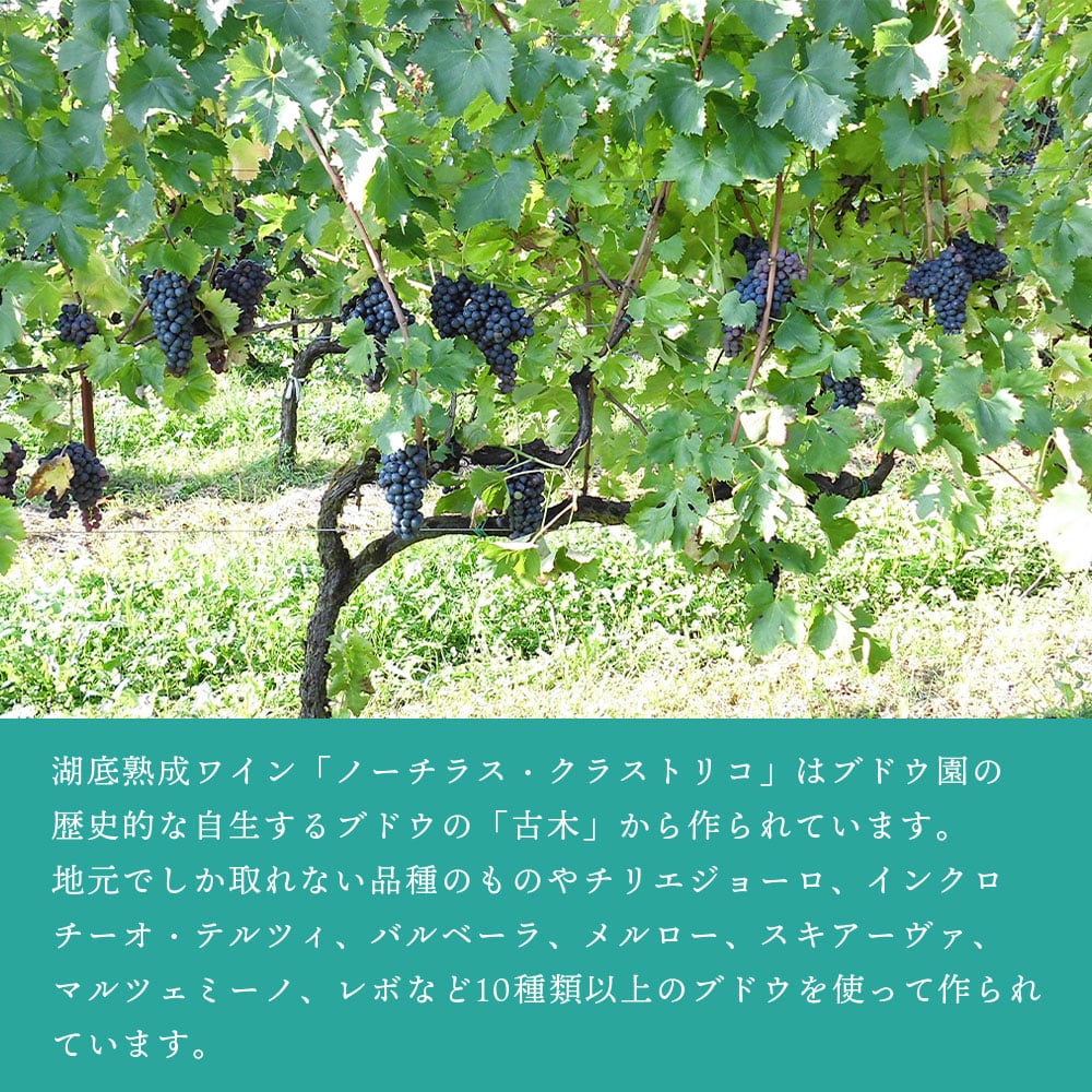 【クール便発送】ワイン 湖底熟成ワイン ノーチラス・クラストリコ 2016 NAUTILUS CRUSTORICO アグリコラ・ヴァルカモニカ AGRICOLA VALLECAMONICA 湖底 水深60メートル お祝い 記念日 誕生日 パーティー プレゼント ギフト お歳暮 御歳暮 クリスマス 60ヵ月熟成 辛口