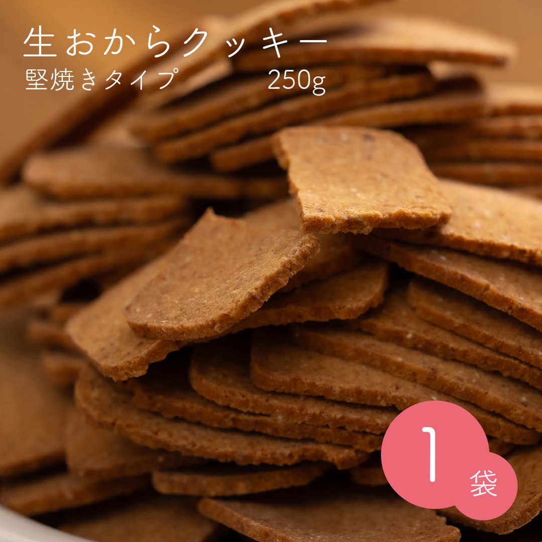 生おからクッキー 堅焼きタイプ 250g おから 豆乳 大豆 クッキー 卵不使用 牛乳不使用 ダイエット たんぱく質