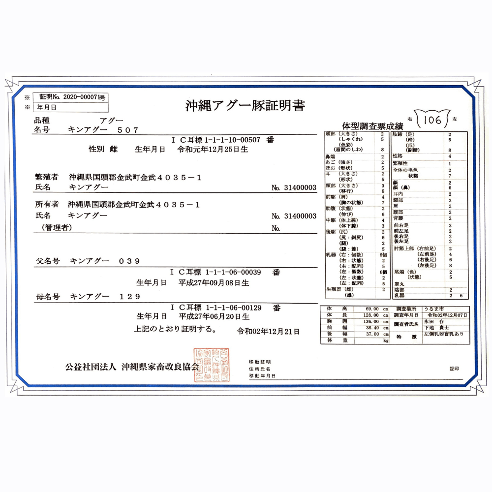(送料無料)金アグー 3点セット