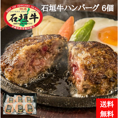 石垣牛ハンバーグ120g×6個　（送料無料）