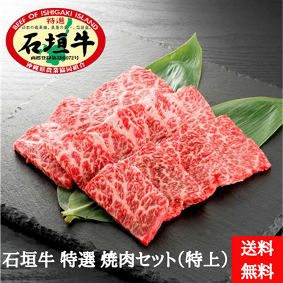 石垣牛　特選　焼肉セット（特上）500g（送料無料）
