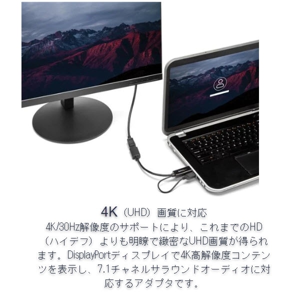 StarTech.com Ltd. HDMI - DisplayPort変換アダプタ USBバスパワー対応 4K解像度 入力：HDMI (オス) - 出力：ディスプレイポート/DP (メス) USB延長ケーブル付属 HD2DP