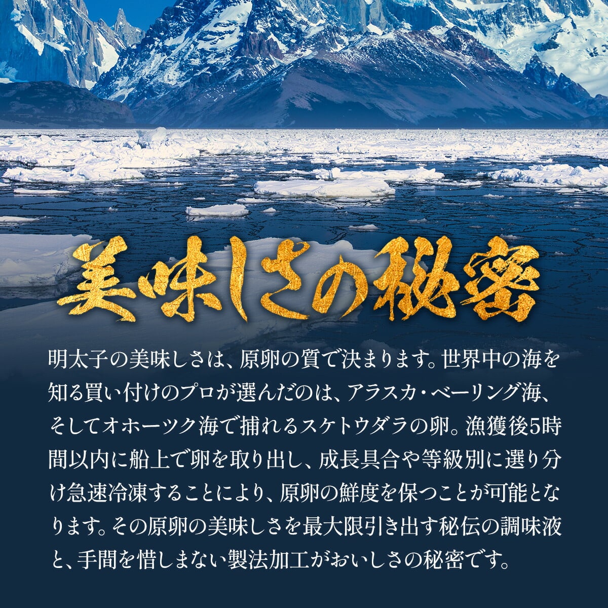 辛さが選べる→【訳あり&特切れ】辛くないたらこ 業務用 たっぷり1kg 食べ放題! 魚卵 明太子 たらこ タラコ おつまみ 甲羅組 辛くないたらこ