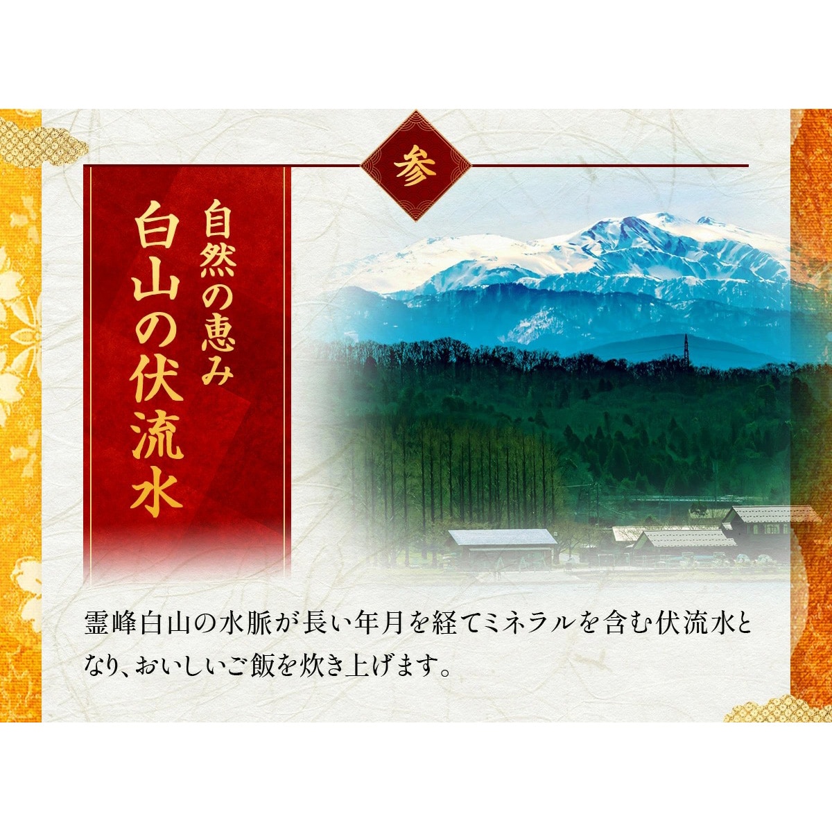 選べる棒寿司3本セット ⇒【かに寿司×3本セット】 専用化粧箱&食べ方の説明書同封 焼さば寿司 ずわいがに寿司 国産うなぎ寿司 ギフト プレゼント 甲羅組 かに寿司3本セット