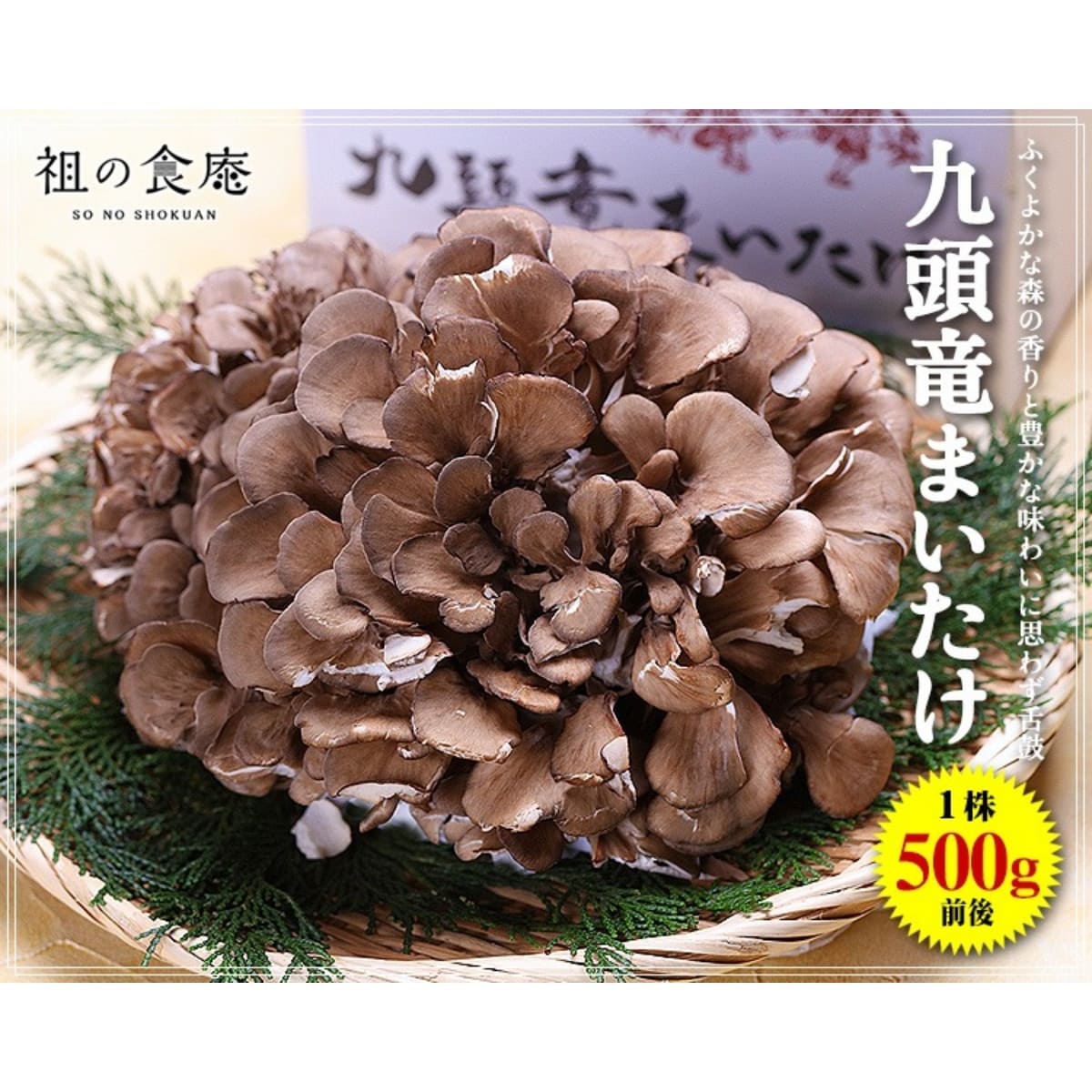 福井県産 九頭竜まいたけ１株(500ｇ前後)　舞茸 マイタケ 国産 産地直送 きのこ 野菜 甲羅組 祖の食庵【※12月19日正午以降のご注文は年明け発送】