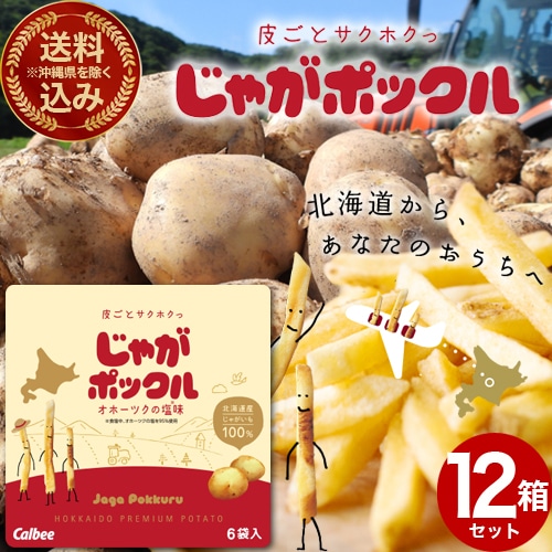 ＜送料込＞(沖縄県は送料が別途かかります)カルビー じゃがポックル【オホーツクの塩味】小箱（12箱入）スナック おやつ お菓子 ギフト プレゼント 北海道 お土産  お取り寄せ 北海道のお土産