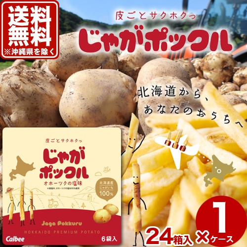 【送料無料】(沖縄県は送料が別途かかります)カルビー じゃがポックル【オホーツクの塩味】小箱 1ケース（24箱入）スナック おやつ お菓子 ギフト プレゼント 北海道 お土産  お取り寄せ 北海道のお土産