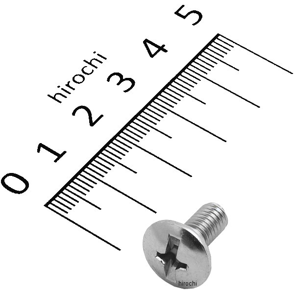 00-00-0325 SP武川 スクリュー M6×13