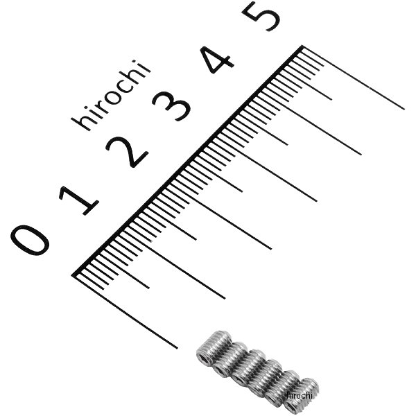 00-00-0480 SP武川 六角穴付き止めネジ 3X5 6個入り