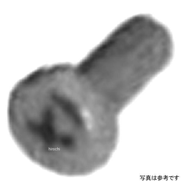 00-00-0538 SP武川 トラススクリュー 5X10 低頭 3本