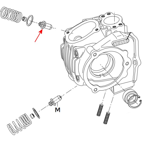 00-01-0083 SP武川 バルブガイド(IN)