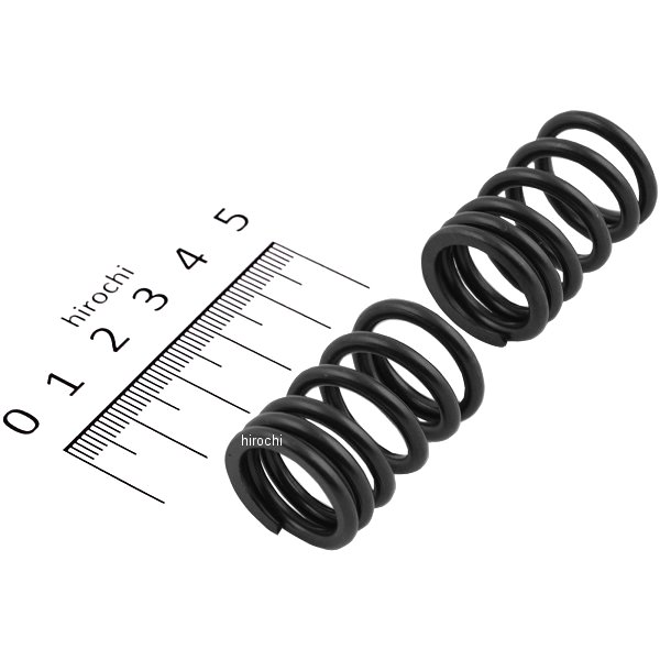 00-01-0283 SP武川 バルブスプリングセット 2個