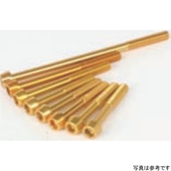 00-06-1128 SP武川 アルミ ボルト クランクケースヨウ (ゴールド)