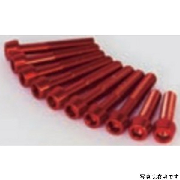 00-06-1145 SP武川 アルミ ボルト エンシン/R.CCカバー (シルバー)