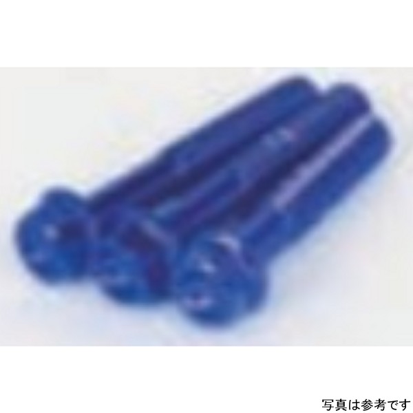 00-06-1159 SP武川 アルミ ボルト Lクランクケースカバーヨウ (ブルー)