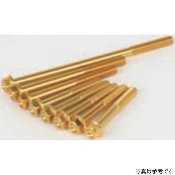 00-06-1169 SP武川 アルミ ボルト Lクランクケースカバーヨウ (ゴールド)