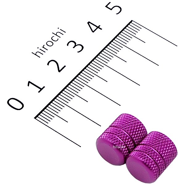 000801-05 ポッシュ POSH エアーバルブキャップ アルミ 2個入り ブルーベリー