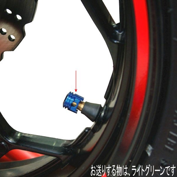 000805-18 ポッシュ POSH エアーバルブキャップ ビッグボアピストン 2個入り ライトグリーン