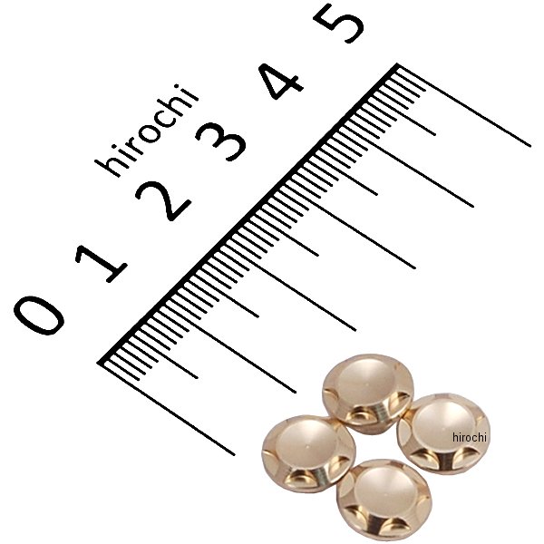 001822-12 ポッシュ NASAタイプキャップボルトカバー M6用 シャンパンゴールド