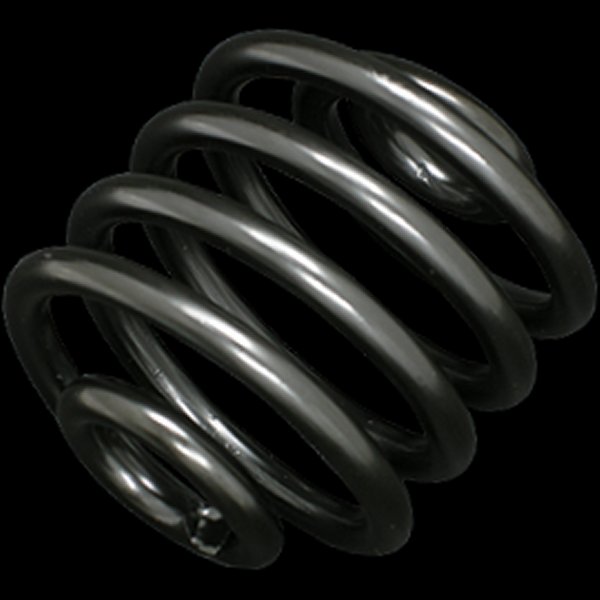009520 ネオファクトリー 2インチ シートスプリング ブラック 1P