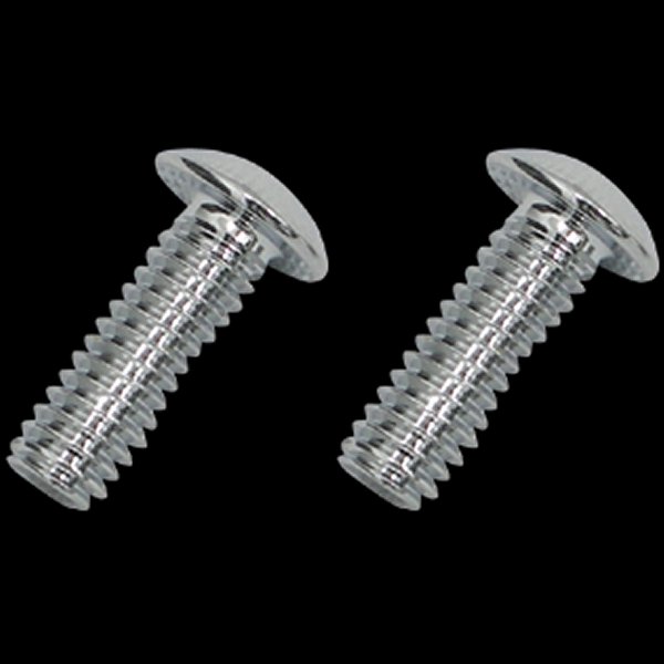 009550 ネオファクトリー ポイントカバー用スクリューキット EVO・ショベル用