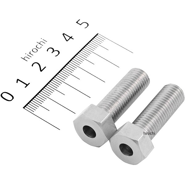 010101-30 ポッシュ POSH 補修用ウインカーステーボルト 2本入り M10x30