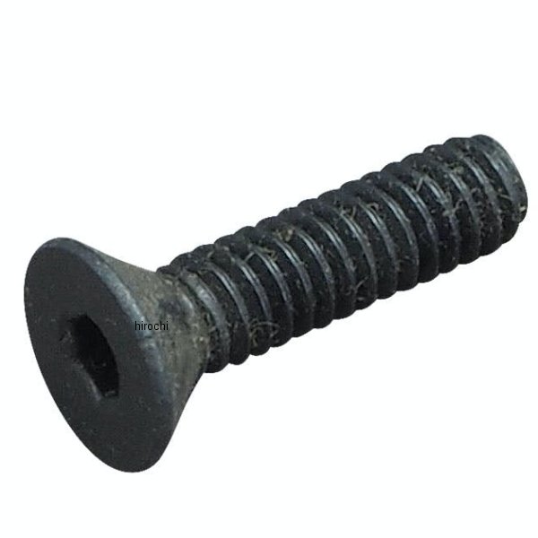 106-4828 S&S エスアンドエス S&S スクリュー 1/4-20 x 1インチ ブラッククローム