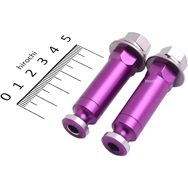 031301-05 ポッシュ POSH ロングウインカーステー M10X30mm ブルーベリー