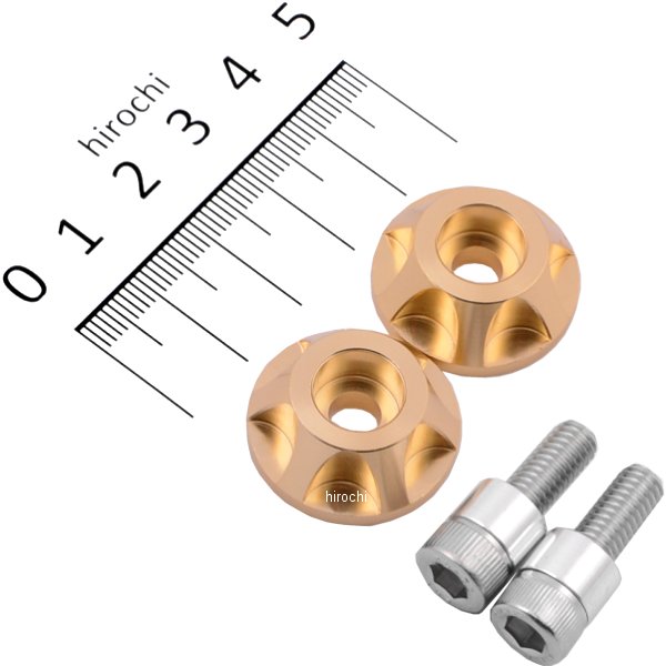 039002-12 ポッシュ POSH アッパーカウルキャップホルダー NASAタイプ ZZR1100D 2個入り シャンパンゴールド