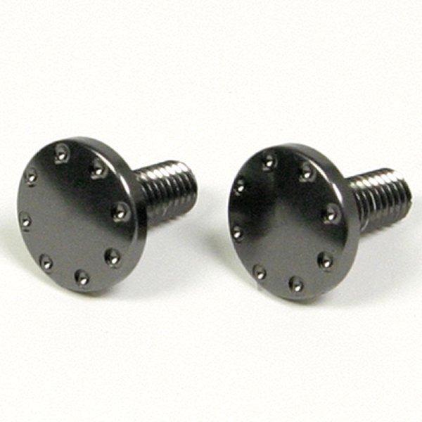 06-11-0021 SP武川 ライセンスプレ-トボルトセット ガンメタ