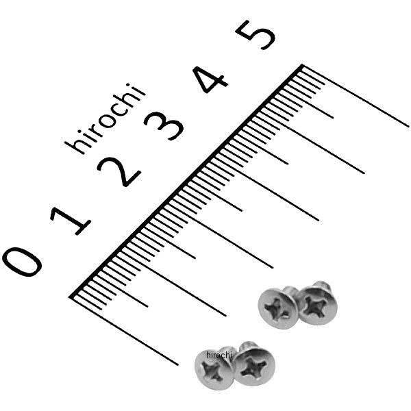 090410-BS ポッシュ POSH キャップビス 汎用 ブリムタイプ 4個入り