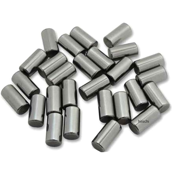 0924-0185 ガッツクローム クランクケースローラーベアリング.001