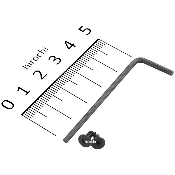 096052-BS ポッシュ POSH 補修用レンズビス&六角レンチセット 汎用 ライトウイエイトLEDウインカー用 黒 2本セット