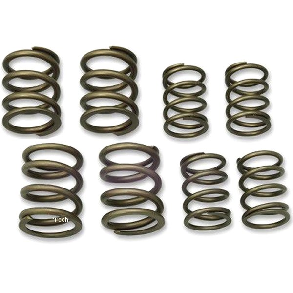 20-2000 ガッツクローム バルブスプリングセット 48年-84年 ビッグツイン